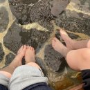 GS수안보중앙점 | 충주 숙소 충주사이판온천호텔 한실 패밀리 룸 후기 내돈내산