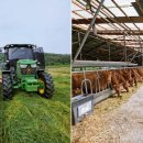 보령한우영농조합 이미지