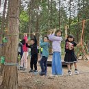 오천초등학교 (오천초 병설 포함) 이미지