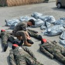 (주)소영무역 이미지