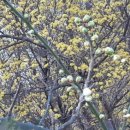 번덕뜰 민박 이미지