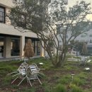 지구촌내과의원 이미지