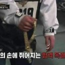 미스코다리 미스터 황태 이미지