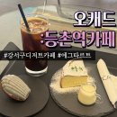 등촌역카페 오캐드|강서구에그타르트 마들렌 디저트카페 애견동반카페