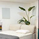 경산에코환경 | 영천가구 어디서 볼지 고민된다면, 경산어라운드까지 찾는 이유