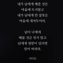 김호증모 가발 수정 헤어