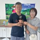 1863 | 노원푸들분양 멍냥스타 실버푸들분양 후기 (1863)