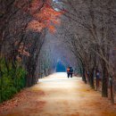 마실가는길
