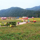 청송코아 이미지