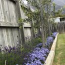 로뎀하우스민박 이미지