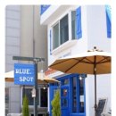 블루스팟 이미지