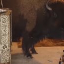 성부농장 이미지