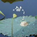 북지장사 - 1119 | 북지장사