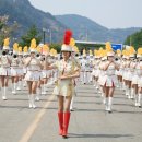 맹방유채꽃마을 이미지