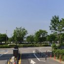뚝섬한강공원-68 이미지