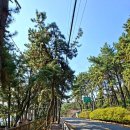 일광해수욕장1 이미지