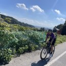 재호목장 이미지