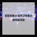 화곡21세기공인중개사사무소 | 양문부동산 양천구부동산 알아보아요