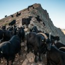 삼흥축산 이미지