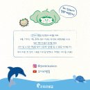 주식회사 코끼리별꽃