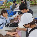 청양시장 이미지