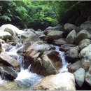 대성골2 Daum카페