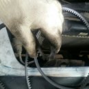 드림카맨샵 이미지