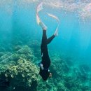 남진 당구장 | [마닐라] 마닐라 여행, 마닐라 근교 바탕가스 아닐라오, 샤크 다이브 리조트 후기, 프리다이빙