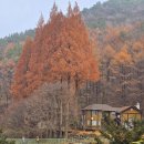 충남계룡및논산,전북익산 단풍여행 이미지