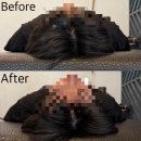 넥스트짐 이천마장점 헬스 PT | 넥스트짐 이천마장점에서 PT를 받는 이유는? 마장면 헬스