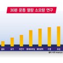 히트앤핏 당산 이미지