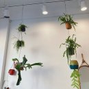 플라워스튜디오길리 ( FLOWER STUD | 부천상동꽃집 :: 플라워스튜디오길리