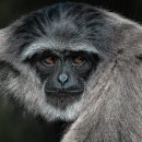 무네미길 | 경기도 과천시 율목영농조합법인, 가는법, 후기, 위치