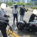 나성동_엘지베스트샵 이미지