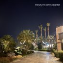 호텔리젠시 나이트 | 제주 롯데호텔 투숙기: 가성비 있게 예약하고 샤롯데 객실로 업그레이드한 이야기