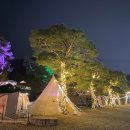 솔뜰캠핑장 이미지