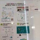 고양이무마취미용 냥지곤지 | &lt;부산&gt; 동래 온천장에 있는 고양이 무마취 미용전문 [냥지곤지]