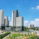 체월든에셋공인중개사사무소 이미지