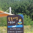 야호체육관 이미지