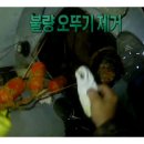 오뚝이식당 이미지