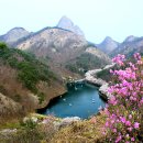 마이산꿀
