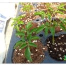 신가네농장 이미지