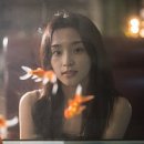 너섬가 네이버블로그