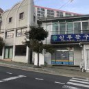 꼬치리아 이미지