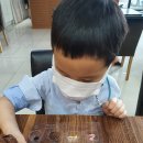 호텔초콜릿 이미지