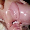 [윤회실화] 돼지 몸에 사람손으로 환생한 이야기 이미지