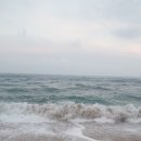 바다정원 이미지