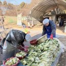 벧엘농장3 이미지