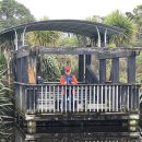 9월 6일 Te Atatu Walkway [Taikata Sailing Club-Harbour View Beach ] 이미지