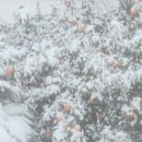 스테이수월 이미지